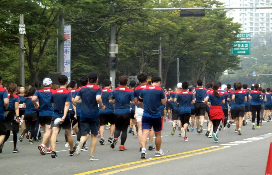 서울 시내 도로를 함께 달리는 참가자들의 뒷모습